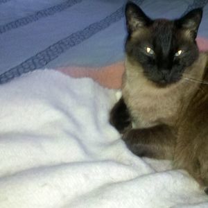 Meet your Posher, Connie